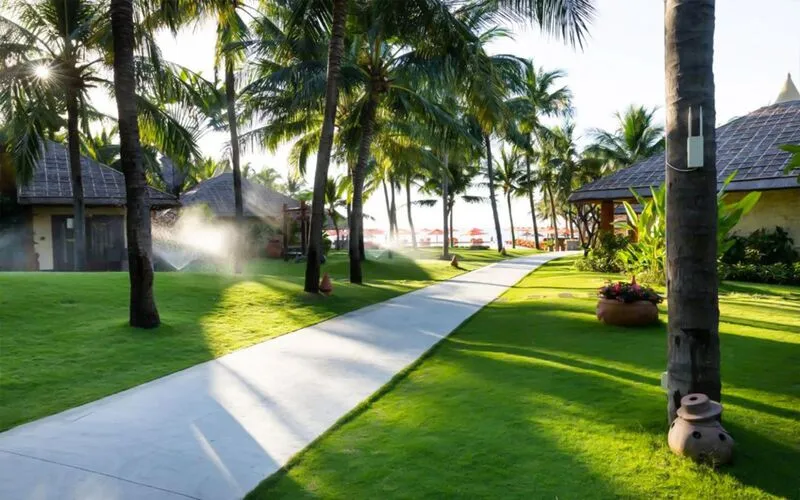 tai-sao-cay-trong-resort-can-duoc-lua-chon-ky